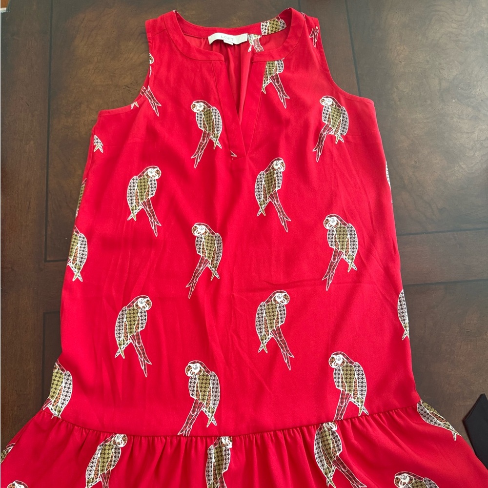 LOFT Red Sleeveless Parrot Print Dress